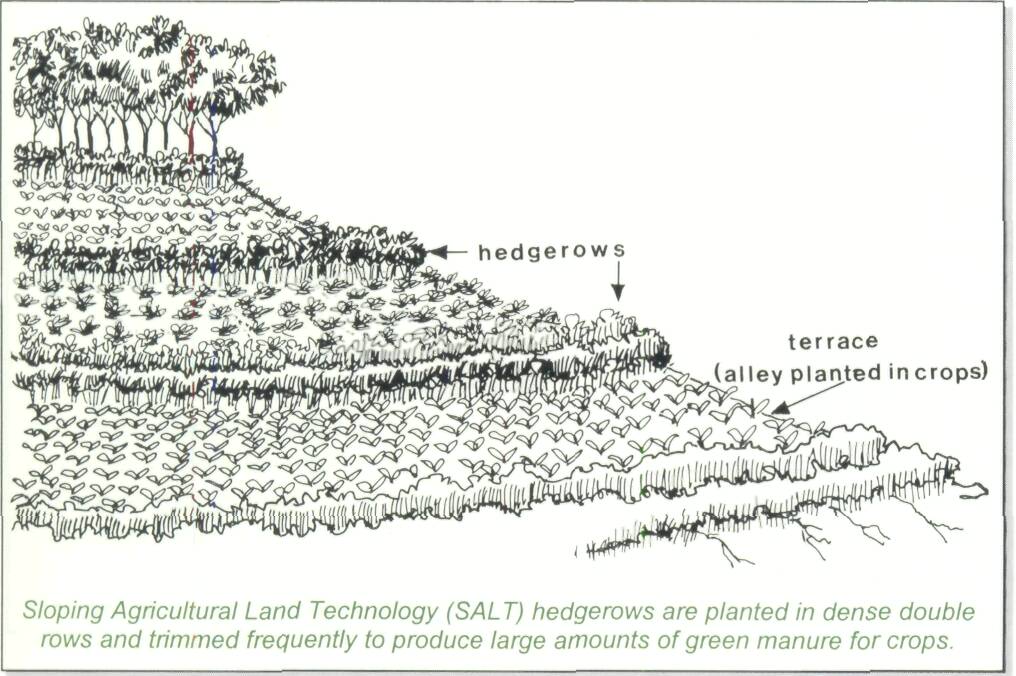 What Are Contour Lines? | Contour Lines Corp.