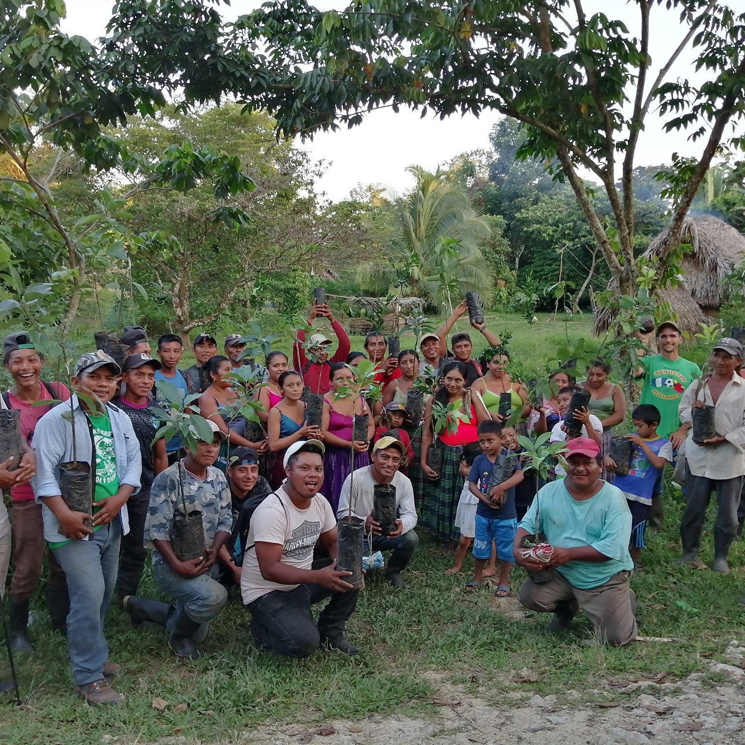 Food Forests - Contour Lines Corp.